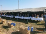 Изложба крава у Крушевцу