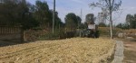 Спремање кукурузне силаже