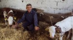 робно кредитирање