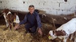 робно кредитирање