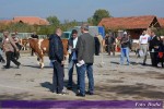 8. изложба крава и јуница